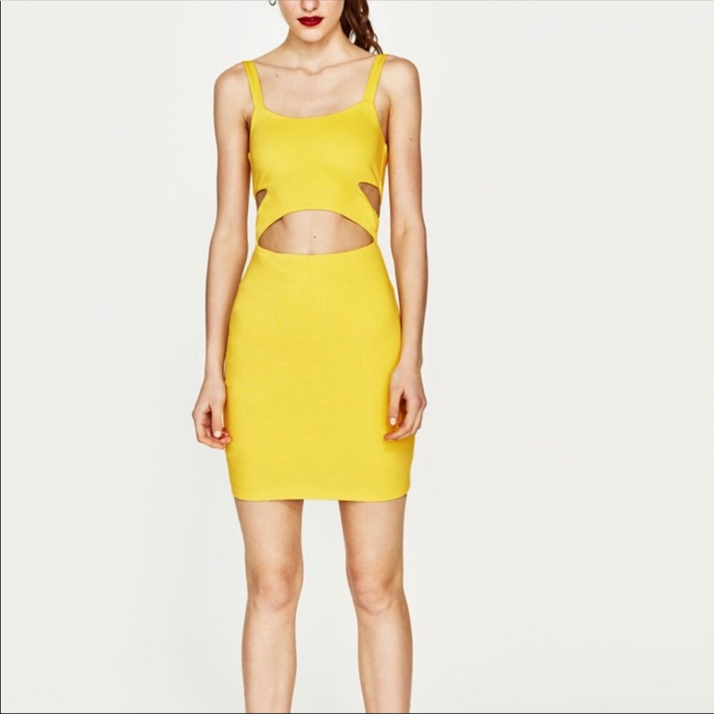 Zara cut-out dress